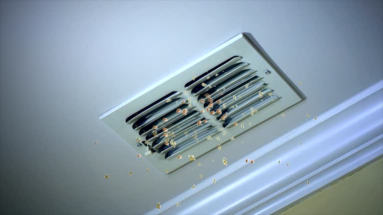 Best Residential Air Duct Cleaning  in Deville, AL