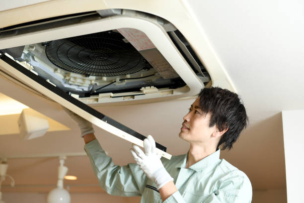 Best Affordable Air Duct Cleaning  in Deville, AL