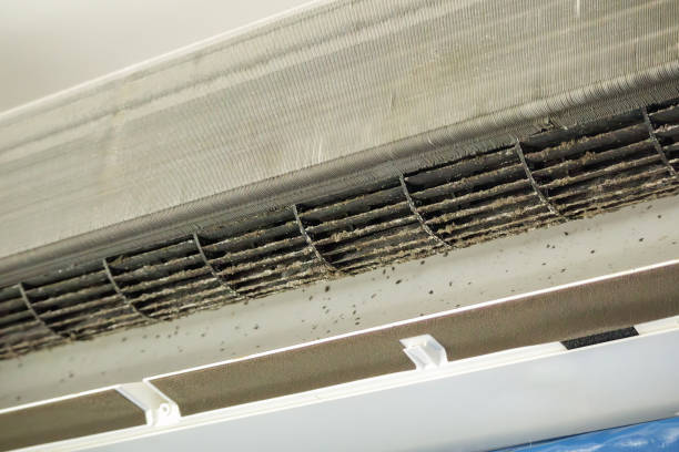 Air Duct Mold Removal in AL