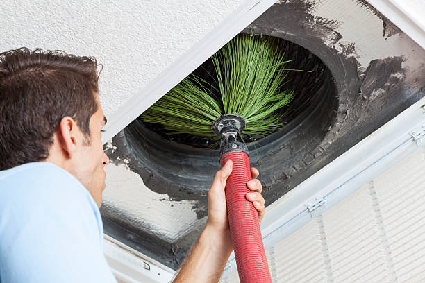 Best Best Air Duct Cleaning Company  in Deville, AL