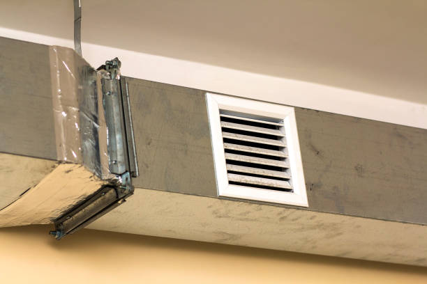Best Ductwork Cleaning Services  in Deville, AL
